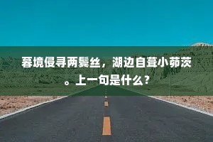 奈何左右口吻毒，只有死请无还辞。出自哪首诗？