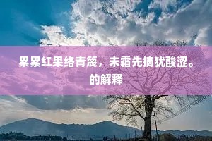 矜名嫉能成语的拼音