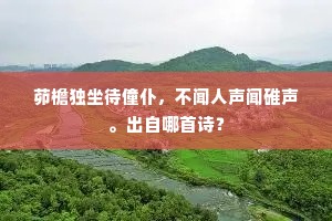 矜能负才成语的解释