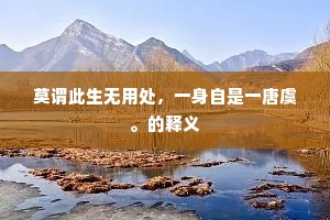 丈夫出处诚何较，却痛苍生为泪垂。的意思及出处