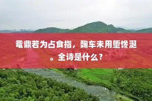 尚说苦心酬直道，谁知白发为苍生。的释义