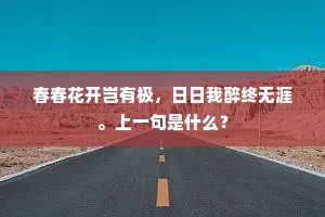 锦片前程成语的解释