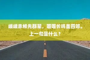 锦胸绣口成语的解释