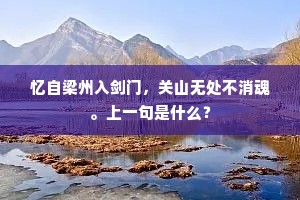 淮西司马新恩重，鲁国儒生旧望清。下一句是什么？