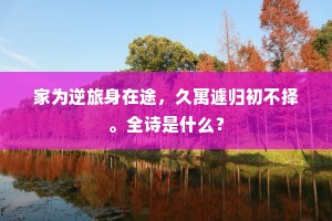 愚时若忝书功笔，未信燕然有旧铭。出自哪首诗？