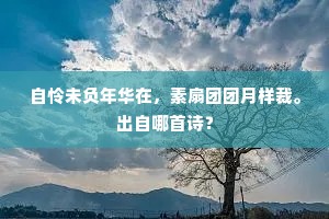 觥酒滞时追伴侣，袖香凝处想纨罗。的意思及出处