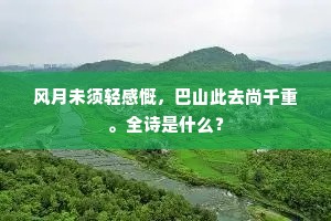 良朋出塞同归雁，破帽经霜更续貂。全诗是什么？