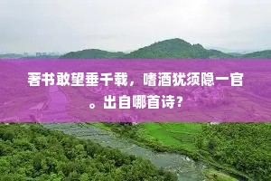 不能隐地回风坐，却使弥天遂日行。下一句是什么？