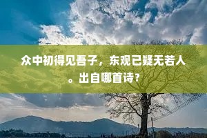 禁暴诛乱成语的拼音