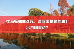 高如云气白如沙，远望那知是眼花。全诗是什么？
