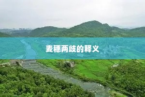 更深候望遥肠断，爽约人归不我过。全诗是什么？