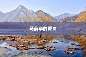 野夫不识天人面，知是虞皇第几元。全诗是什么？