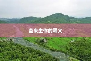 井井有方成语的释义
