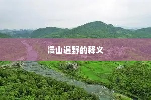 漫山遍野的释义