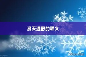 漫天遍野的释义