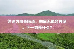 杖藜欲访山中客，空山沈沈澹无色。全诗是什么？