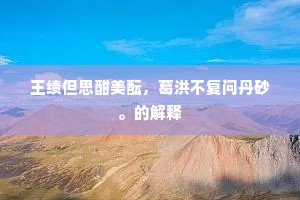 至人胸中本无待，万窍吹嘘任天籁。的解释
