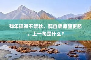 霜风荡扬，舞飘零、木叶斜飞阡陌。的解释
