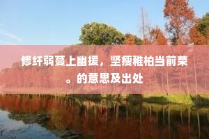 经世之才成语的释义