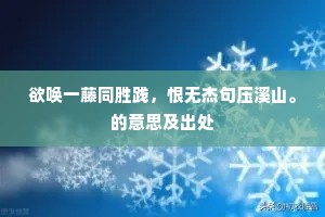 九五之尊成语的拼音