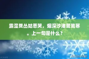 九州四海成语的拼音