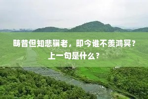 谁人奈得此雪过，春风去后终须还。下一句是什么？