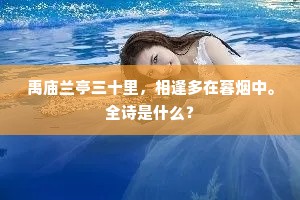神功端不让思邈，古道依然如宋清。的释义