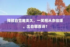 请看岐叟至陶葛，神仙多是良医成。全诗是什么？