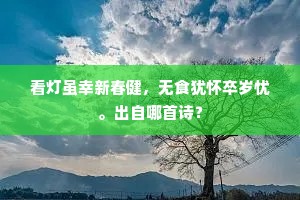 平生爱读龚胜传，进退存亡断得明。上一句是什么？