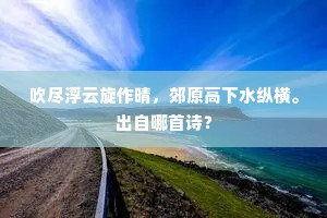 乘君袖里孤山月，写尽横斜竹外枝。的解释