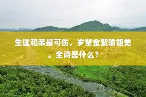 踽踽凉凉成语的释义