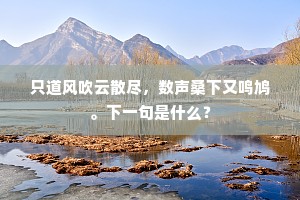 千古兴亡我自知，一家消息又何疑。的解释