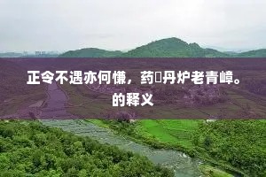 衣冠礼乐江东聚，此是痴儿奉母时。的解释