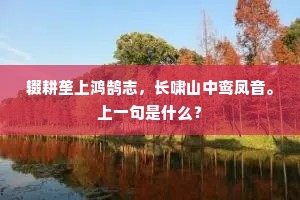 龃龉不合成语的释义