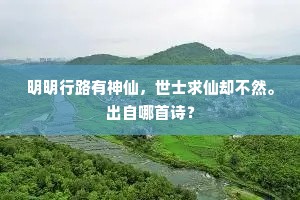 徙倚江楼最久，绮窗迥、翠拥双丫。全诗是什么？