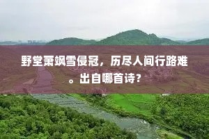 杨花飞舞盈三尺，蝶翅交加呈六出。的意思及出处