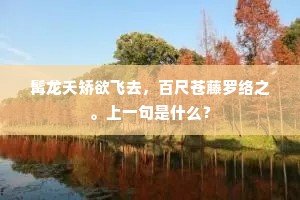 霜气隔篷才数尺，斗杓插地已三更。下一句是什么？