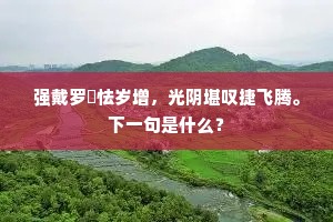 抉奥阐幽成语的拼音