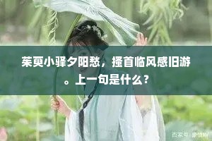 白头感遇知何补，阿阁清严栖凤巢。全诗是什么？