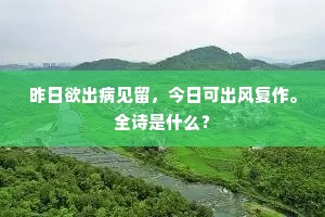 绝裾而去成语的解释