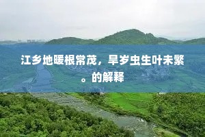 绝妙好辞成语的释义
