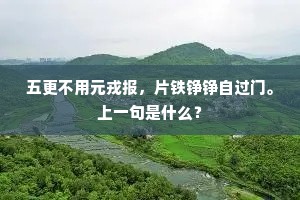 绝世佳人成语的拼音