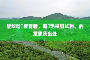 绝无仅有成语的释义