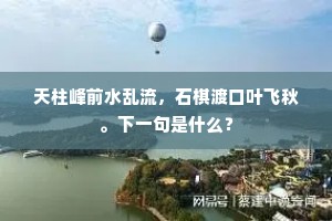 约取巢翁携鹤去，鬓毛同白不争妍。的解释