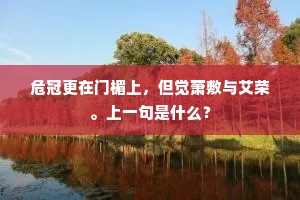 君子之交淡如水成语的解释