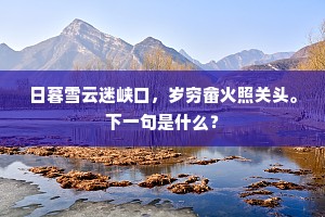从此便为千载计，洞天先拜紫玄章。的释义