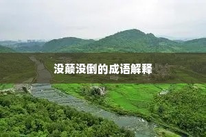 春容淡薄胎仙舞，夜景虚明脉望飞。的解释