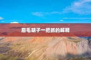 眉毛胡子一把抓的解释