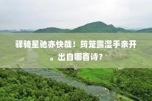光凝石殿千年雪，影动银河八月槎。的解释